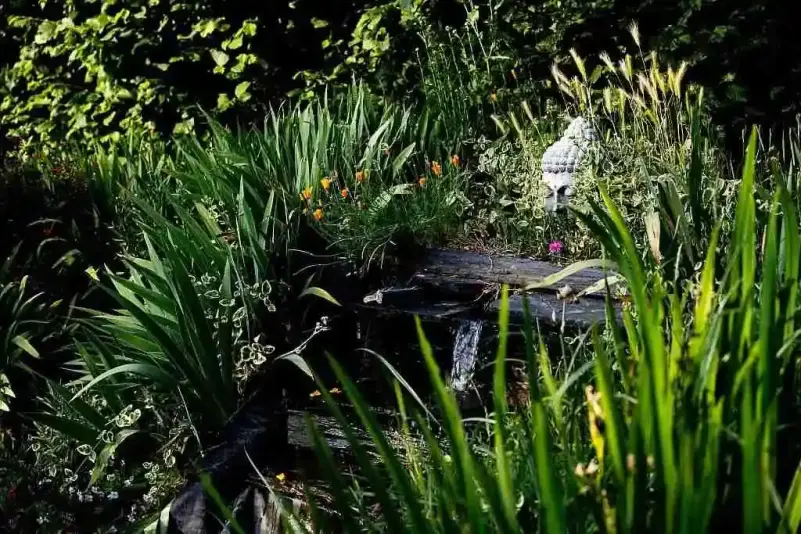 Zenitude aupres de la cascade avec Boudha