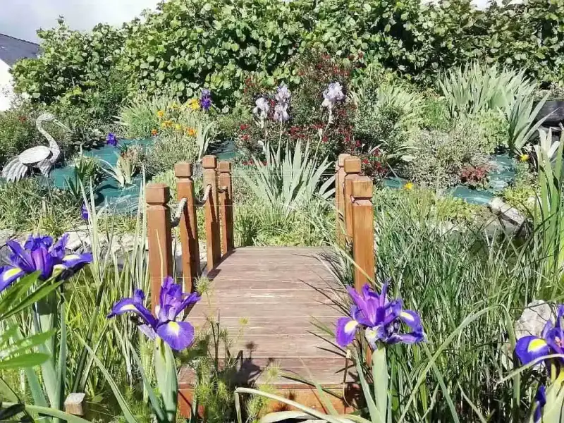 le petit pont de bois au dessus de l'eau