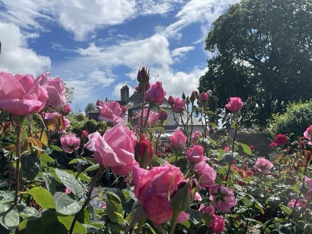 jardin fleuri chambres d'hotes du haut anjou
