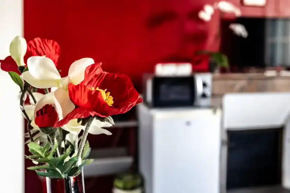 des fleurs immortelles